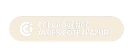 logo cci