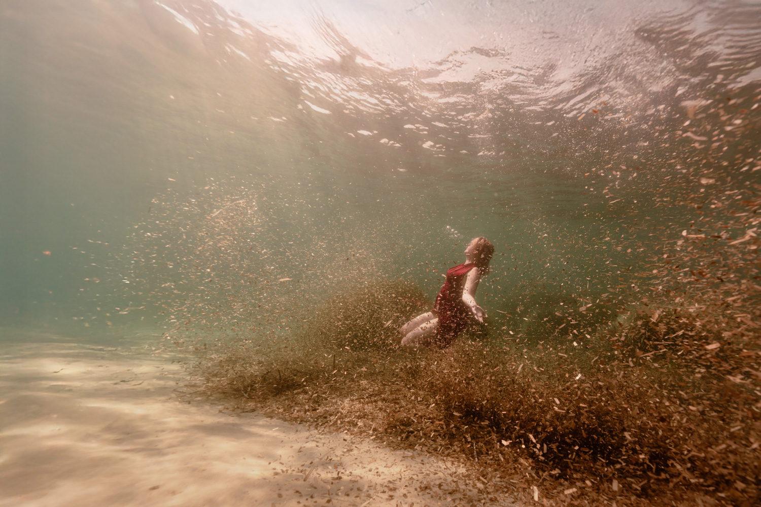 Séance photo underwater dans la posidonie à Giens