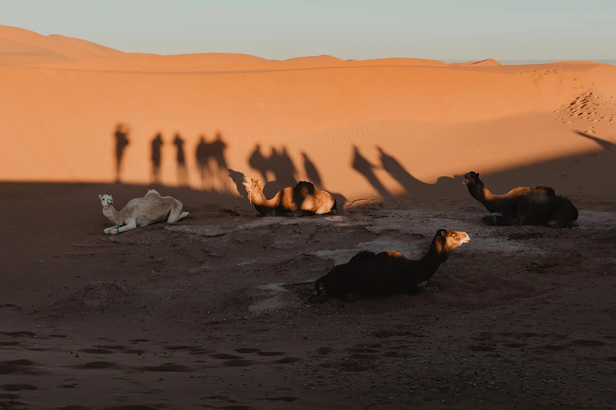 Groupe de participants lors d’une retraite yoga au Maroc à M’Hamid El Ghizlane
