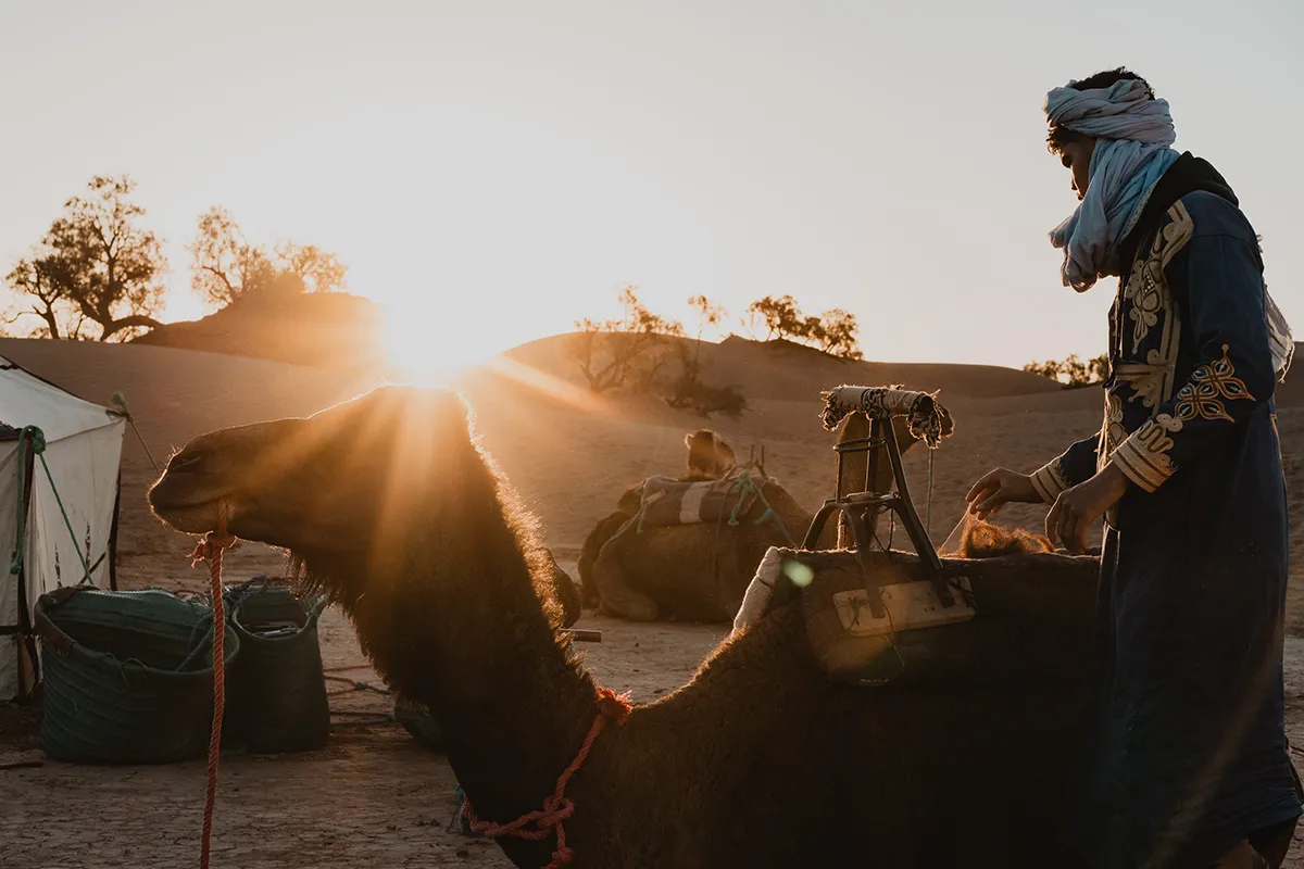 Installation du camp pendant une retraite yoga au Maroc dans le désert