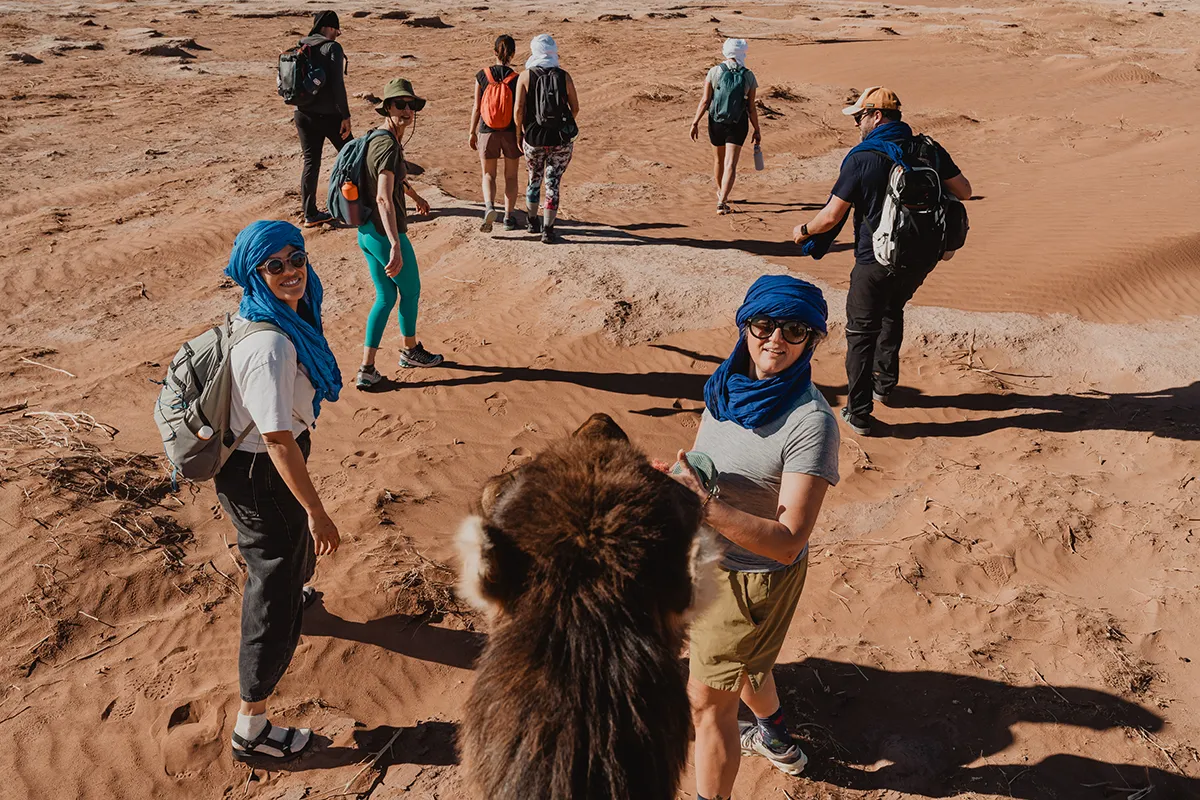 Vue depuis un dromadaire pendant une retraite yoga dans le désert marocain